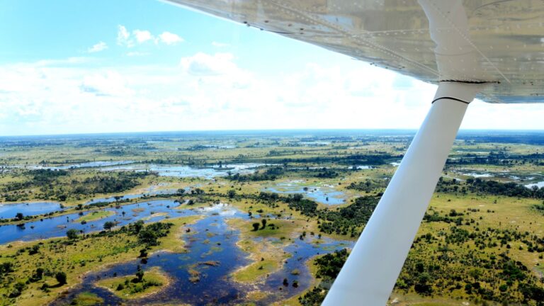 Quand partir au Botswana – Guide Complet pour votre voyage!