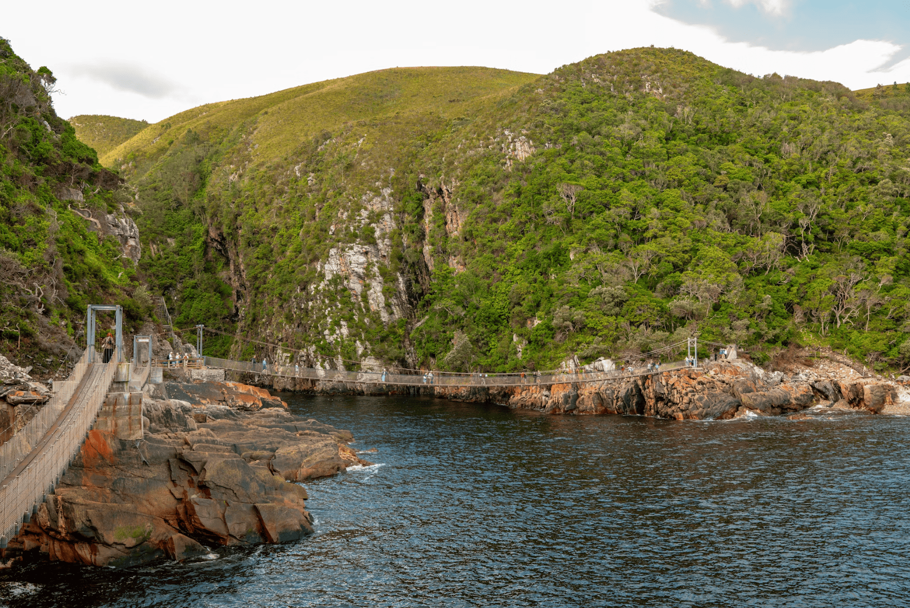 Itinéraire Garden Route en Afrique du Sud : Parc National de Tsitsikamma