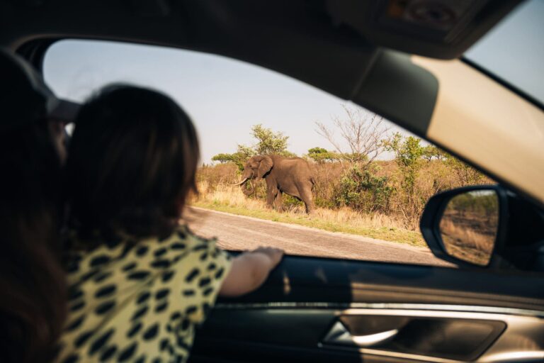 Voyage en famille en Afrique du Sud :  notre itinéraire recommandé