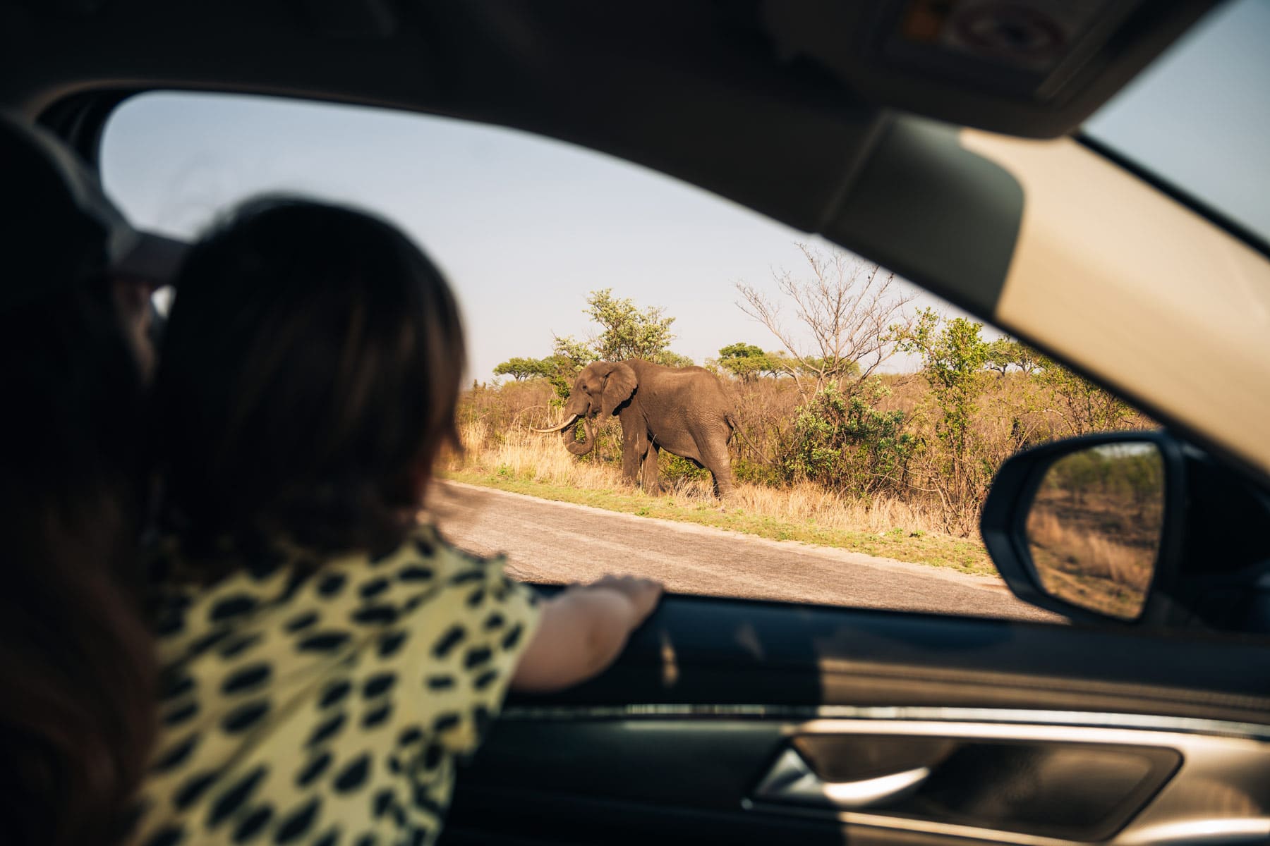 Safari et voyage en famille en Afrique du Sud