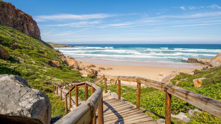 Itinéraire Garden Route en Afrique du Sud : 6 stops à ne pas manquer