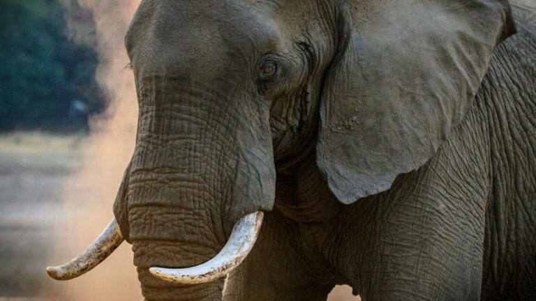 Nos itinéraires préférés en Afrique Australe