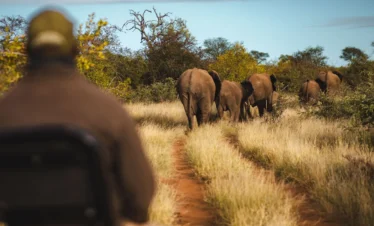 Votre roadtrip familial au cœur des merveilles australes 