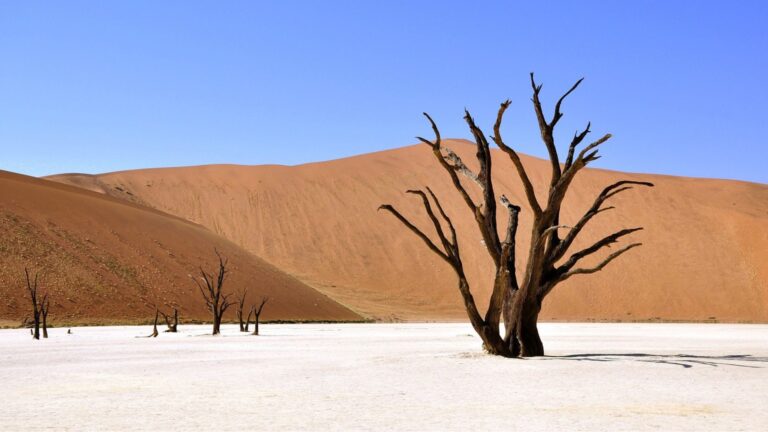 Voyage en Namibie: l&rsquo;aventure d&rsquo;une vie!