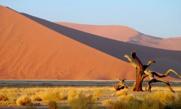  Expédition Namibienne, sur les traces du désert