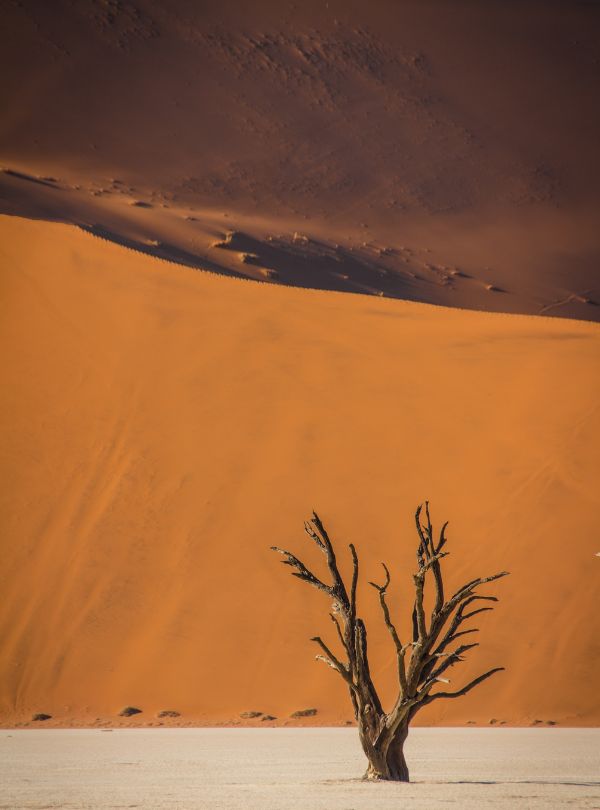 Namibie