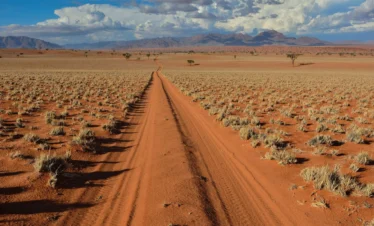 Pistes rouges et ciels étoilés : la Namibie en liberté