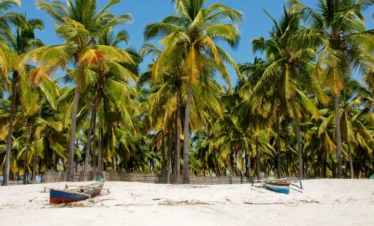 Sur les routes du Mozambique : un voyage en famille inoubliable