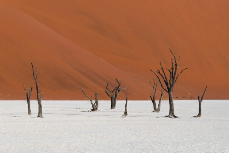 Quand partir Namibie : guide météo et meilleurs mois
