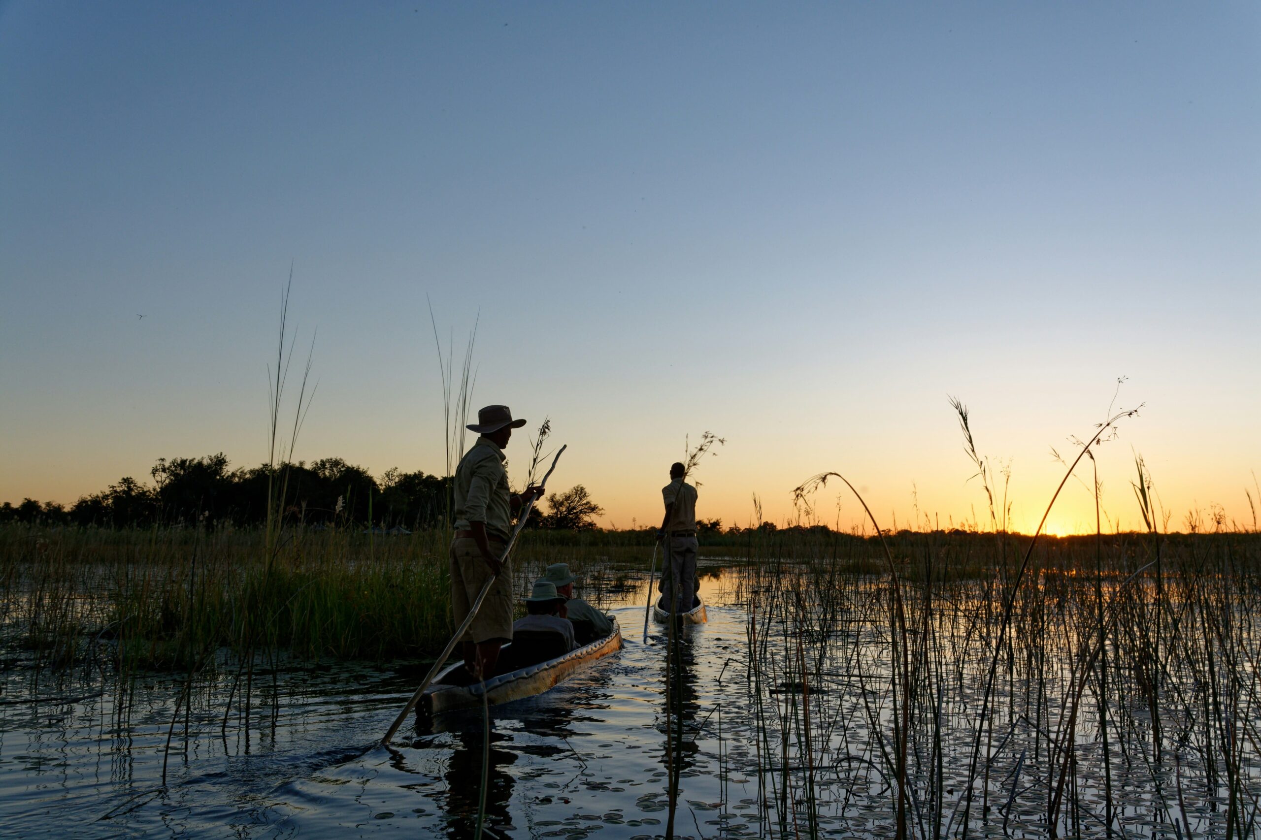 Delta Okavango Botswana I Safari en mokoro