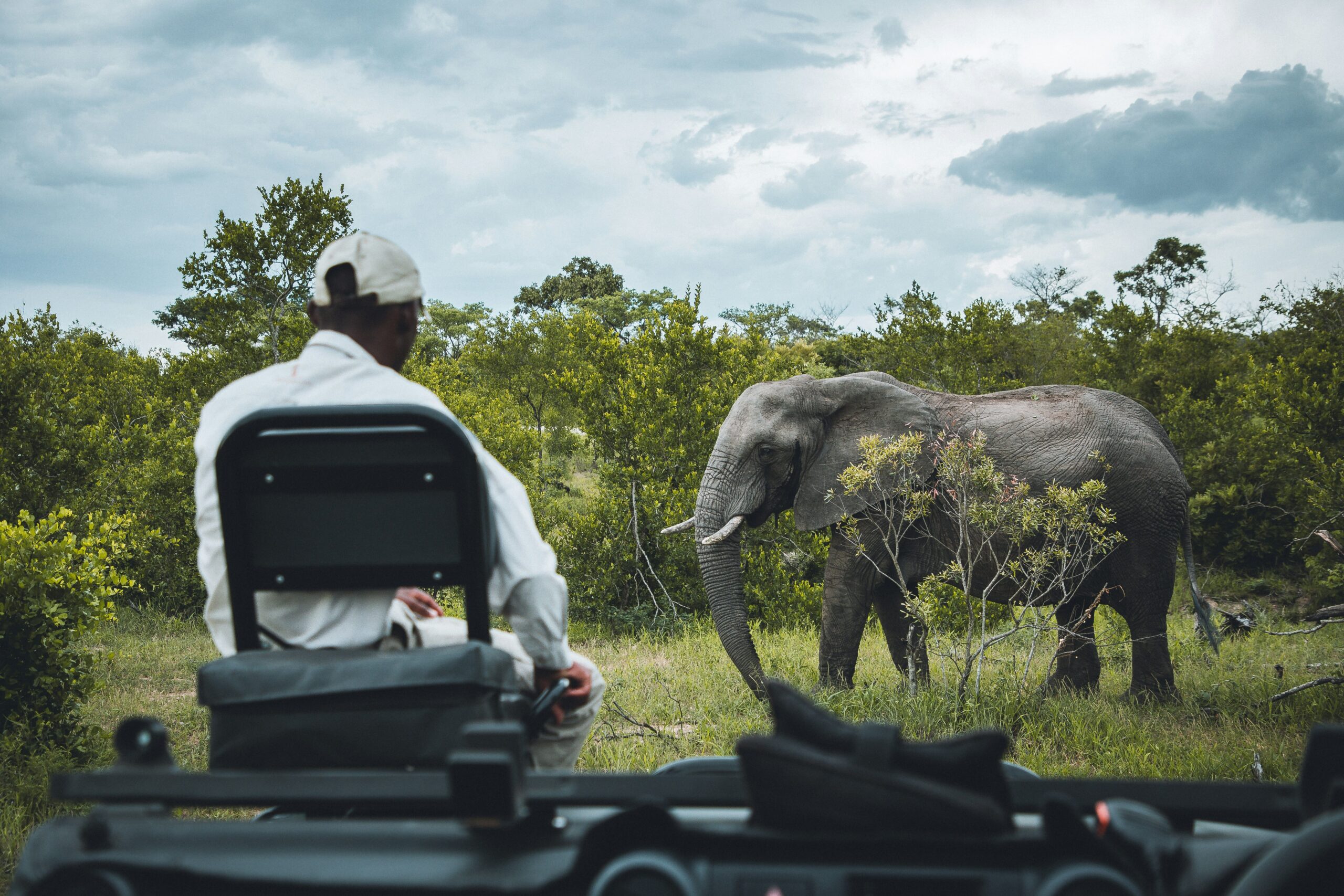 Safaris Afrique du Sud I Tracker face à un éléphant