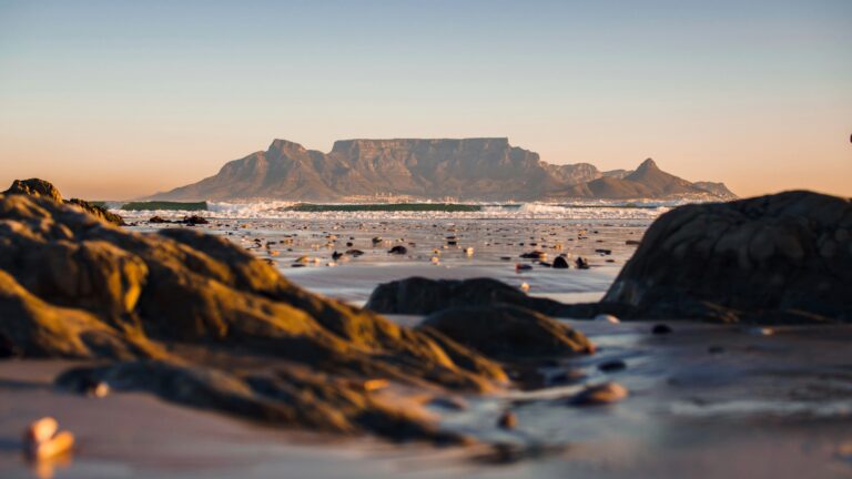 Que faire à Cape Town : 15 expériences incontournables