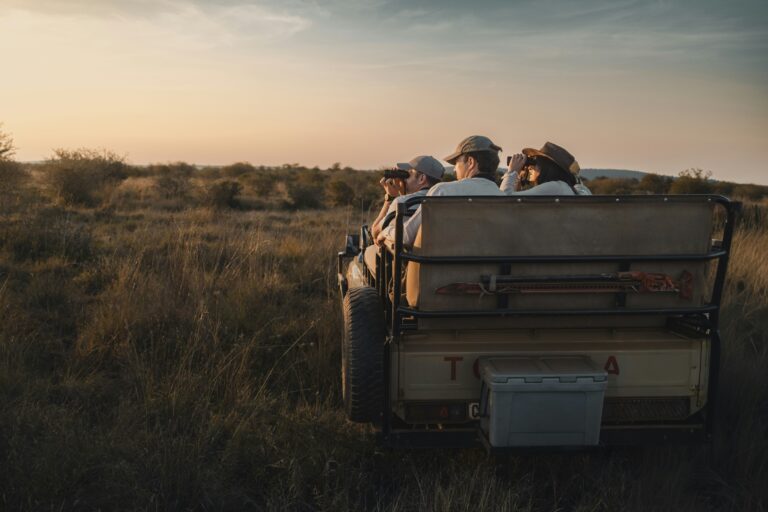 Quel est le prix d&rsquo;un safari en Afrique du Sud ? Budget et conseils